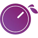 Plum Audio Coupon Codes